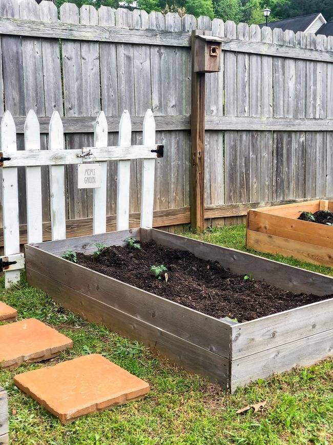 Frugal Raised Vegetable Beds