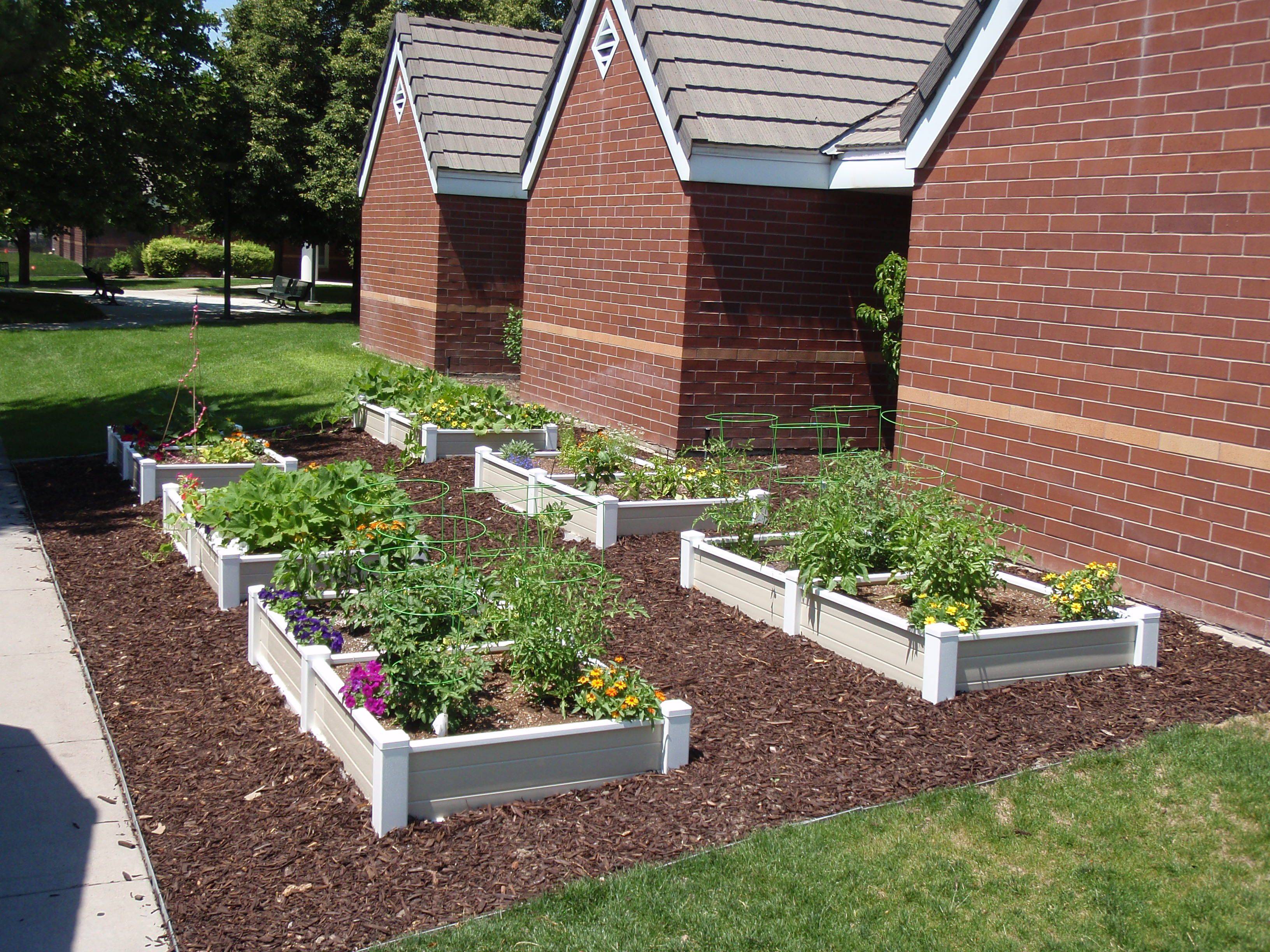 X Raised Garden Bed