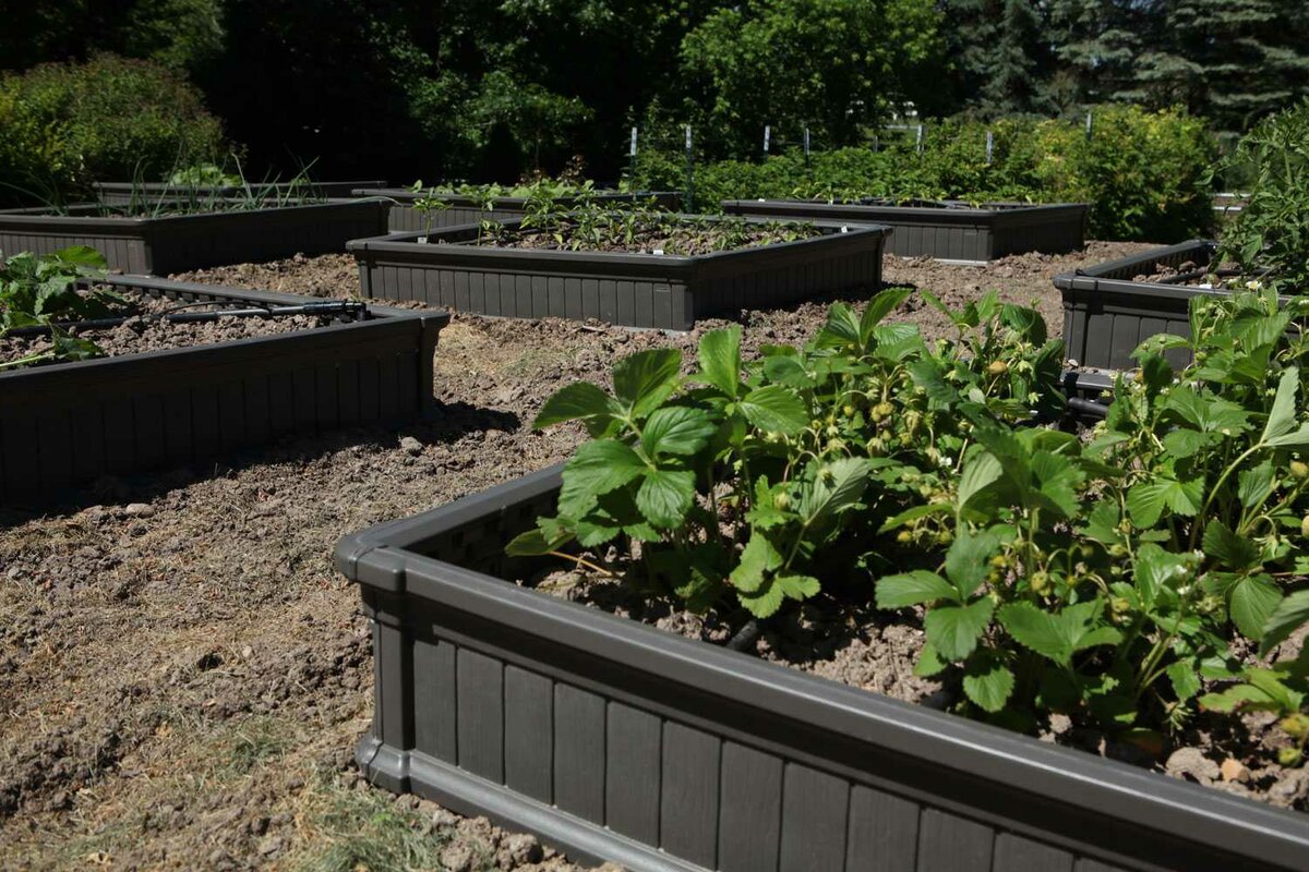 Lifetime Square Raised Garden