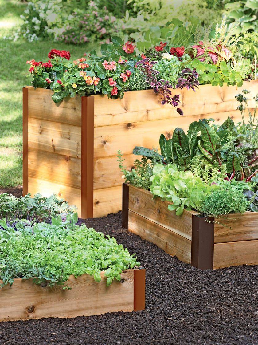 Raised Garden