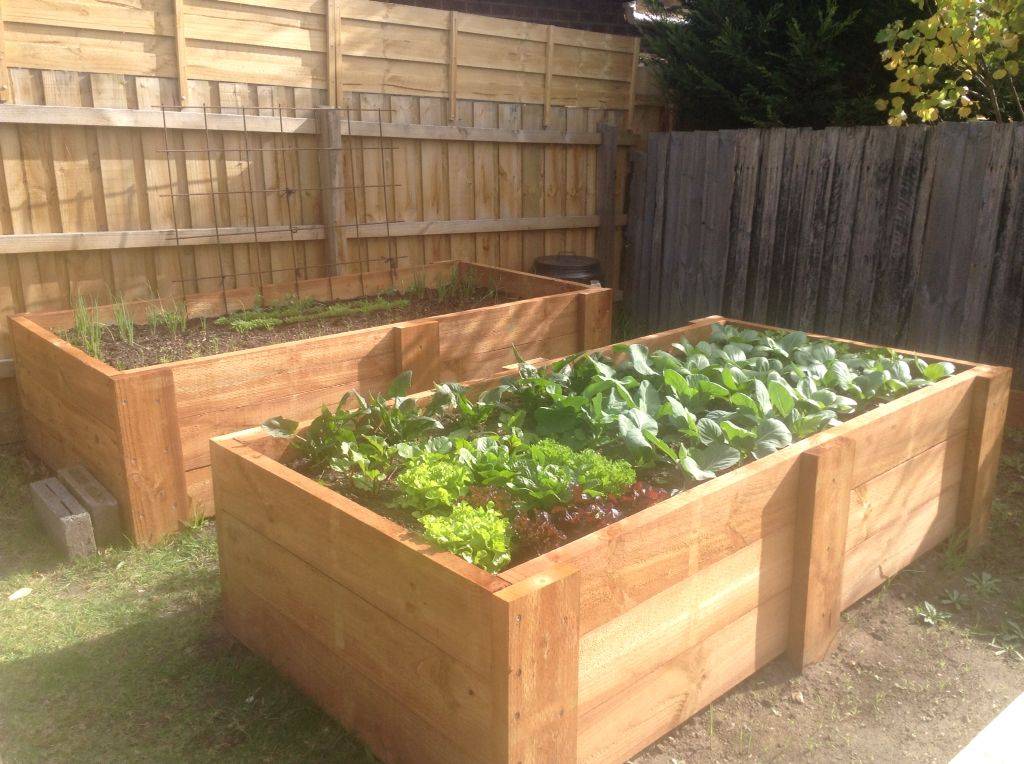 Raised Garden Bed