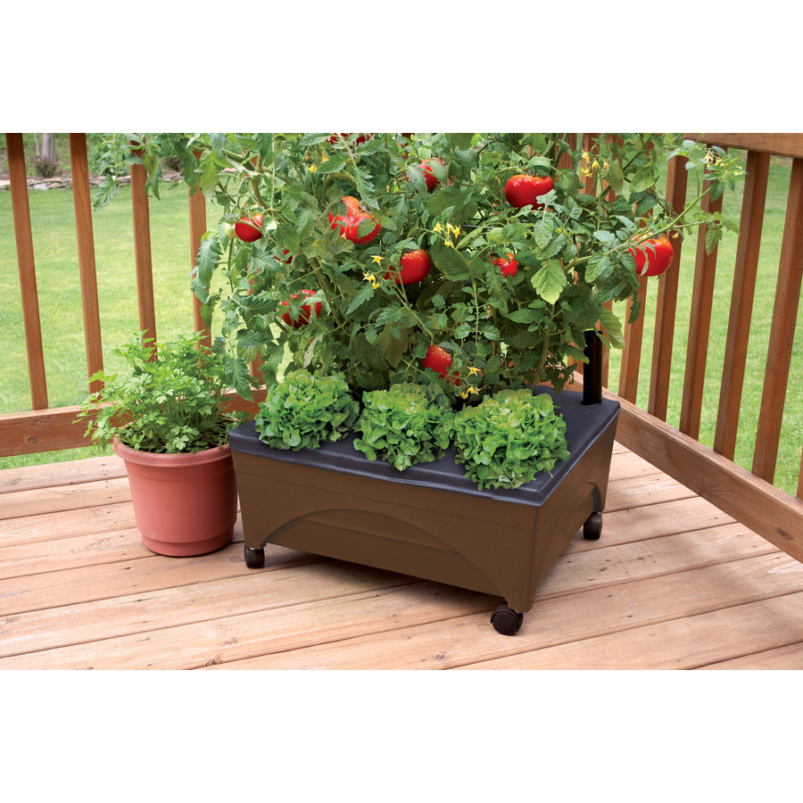 H Wood Raised Garden Bed