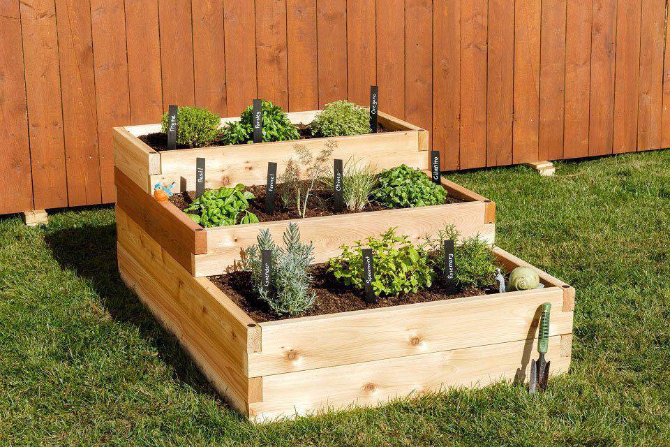 Western Red Cedar Cedar