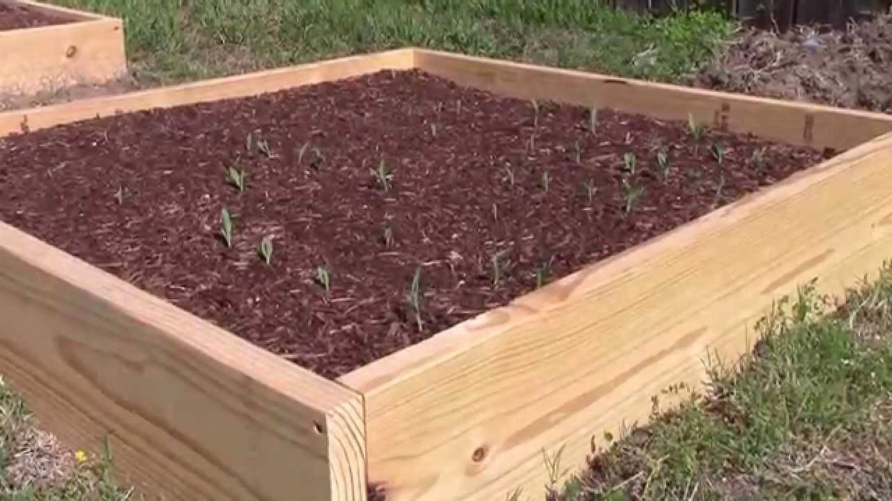 Garden Bed Google Search Cedar Garden