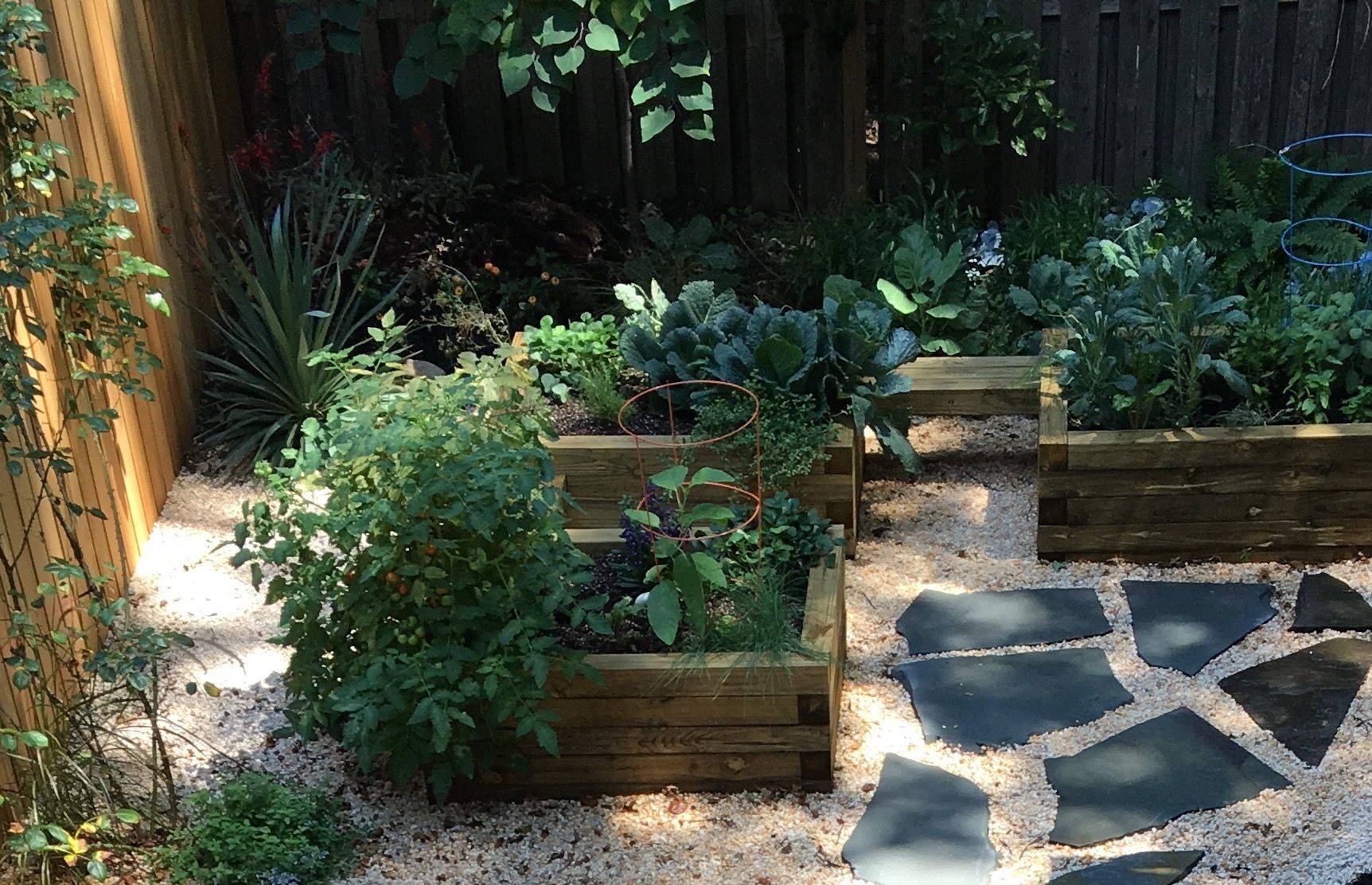 X Raised Raised Garden Beds