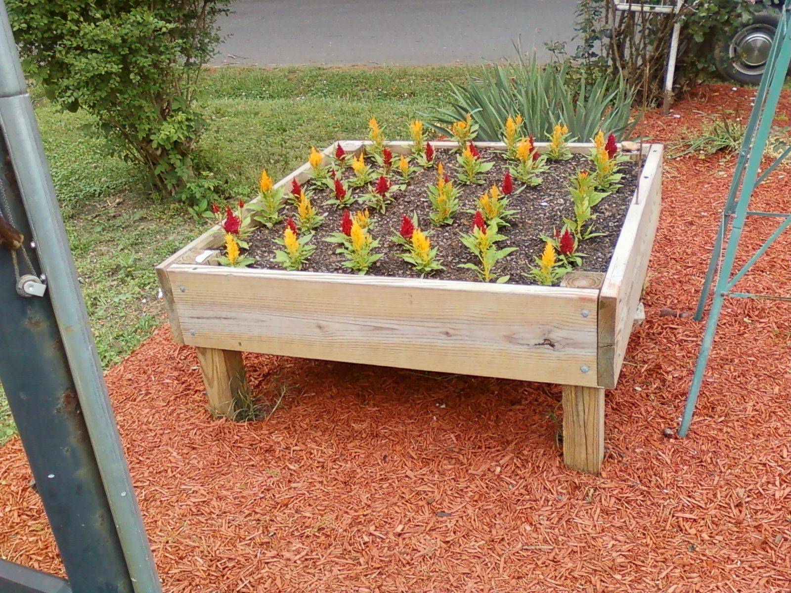 X Raised Raised Garden Beds