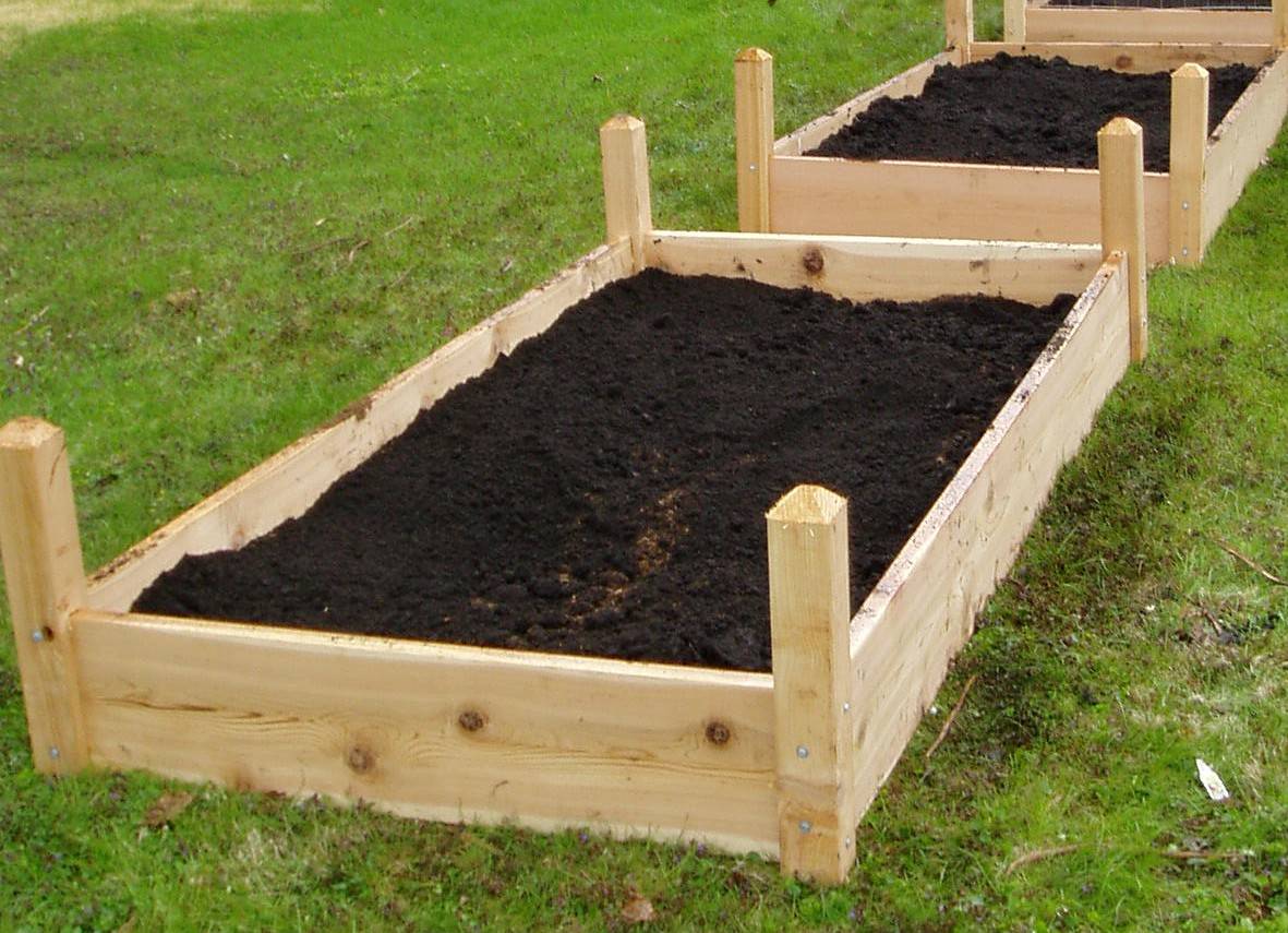 A X Raised Garden