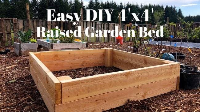 Raised Beds