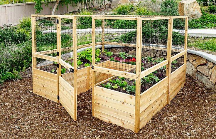 Garden Beds