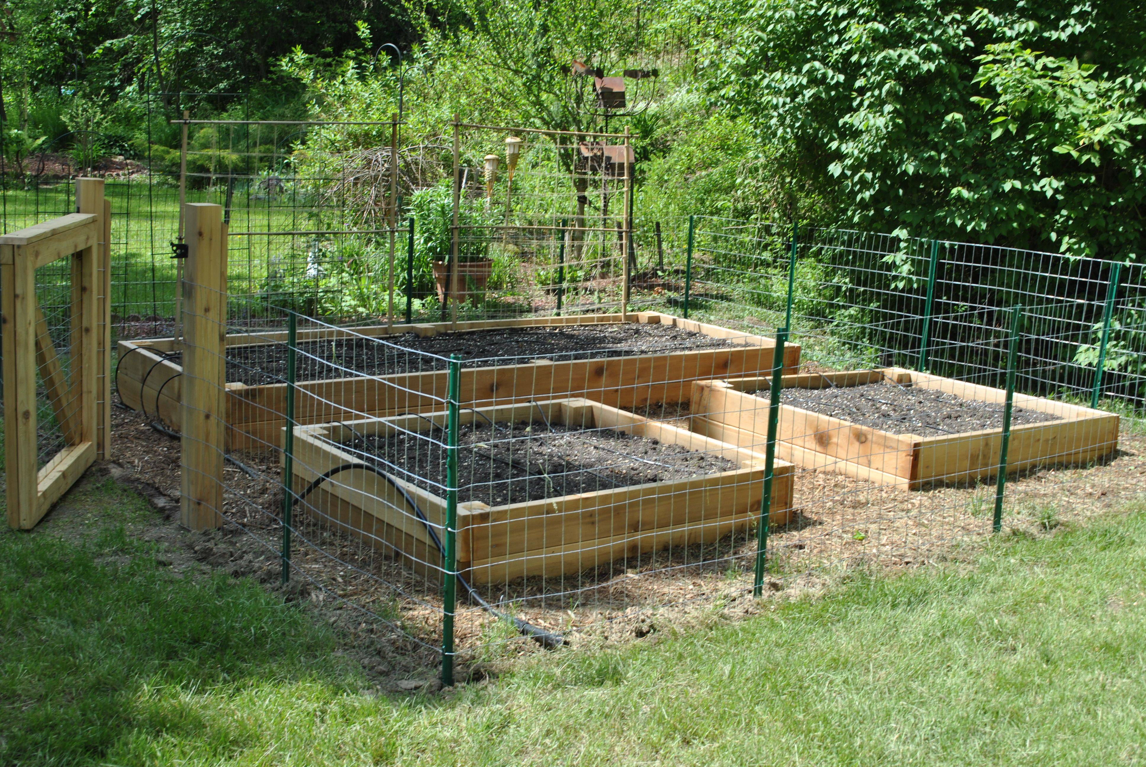 Square Foot Gardening Soil Garage Ideas