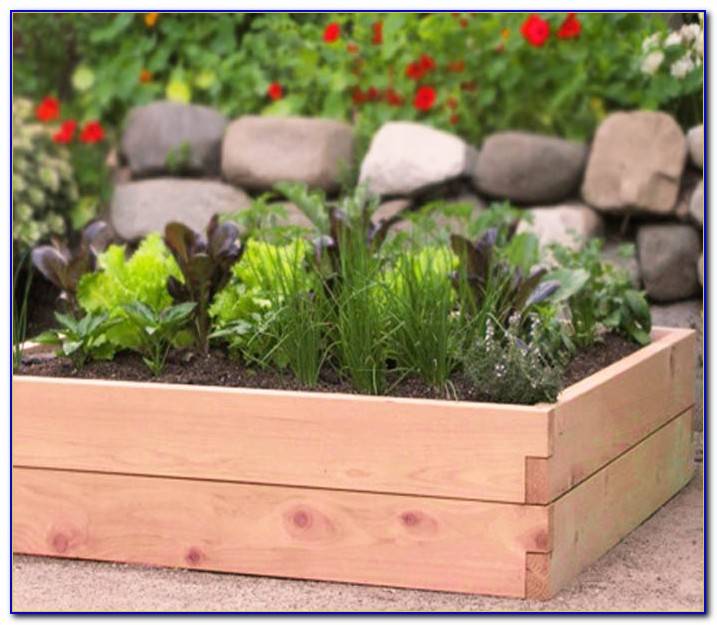 19 Raised Garden Bed Kits Costco Ideas To Try This Year SharonSable