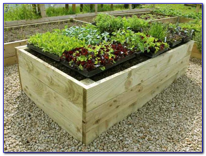 Raised Garden Kit Costco