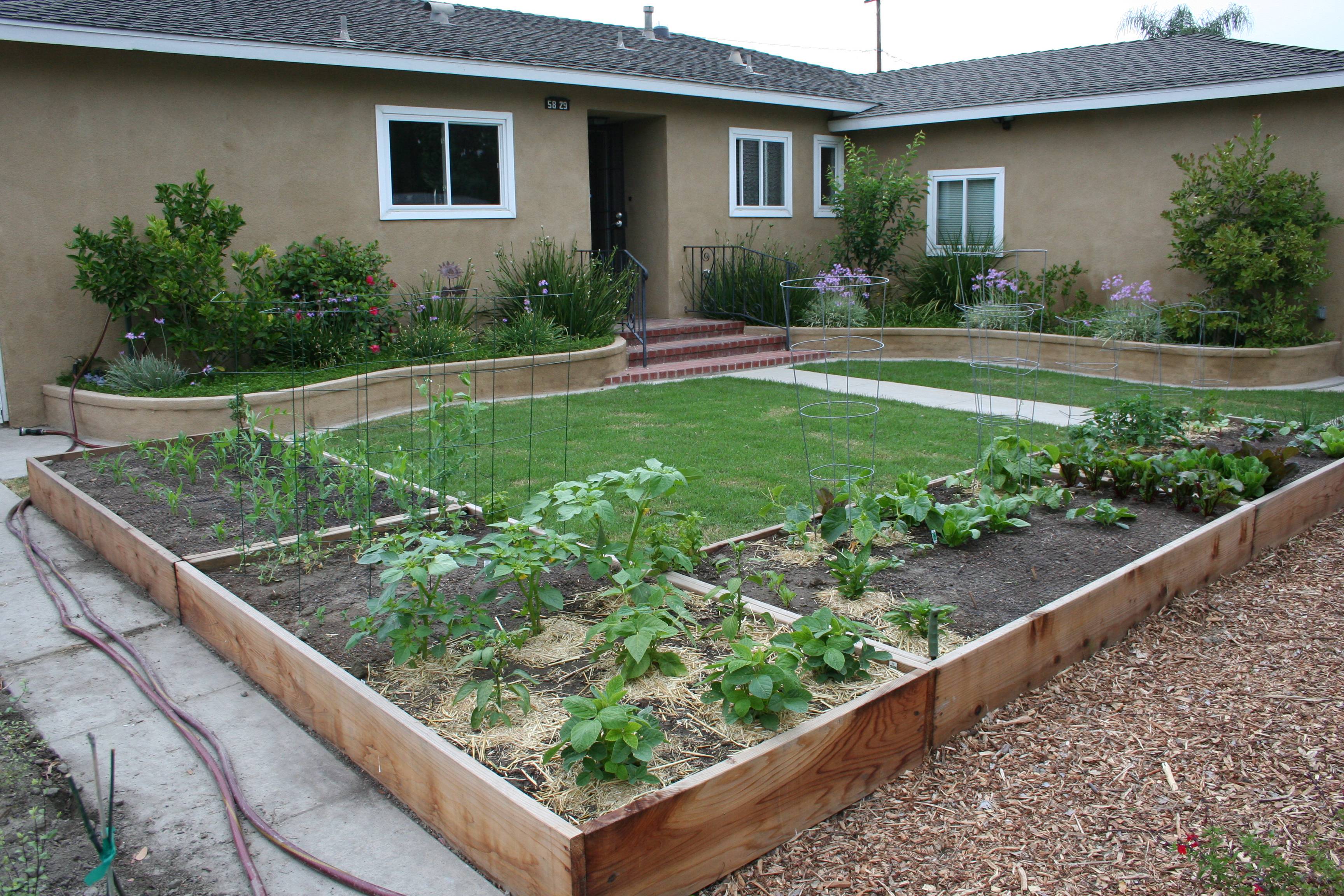 Small Veg Garden Ideas