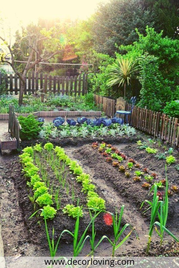 Raised Beds Frugal Gardening Four