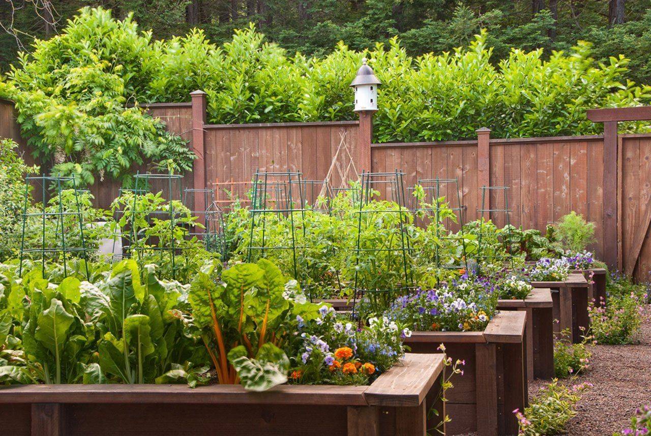 Elegant Rooftop Vegetable Garden Ideas
