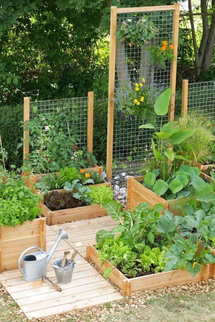 Vegetable Garden Walkway Ideas