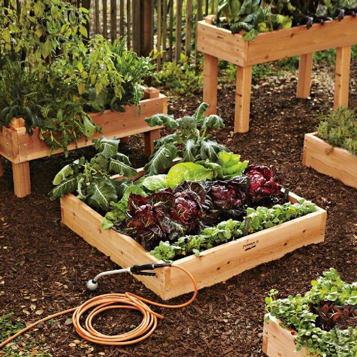 Vegetable Garden Raised Patio Backyard Small Ideas