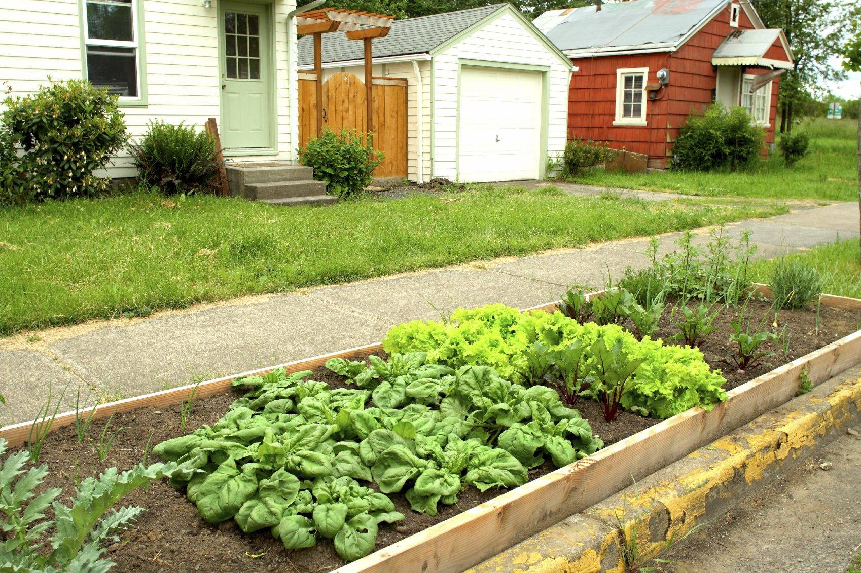Fancy Garden Bed Borders Ideas