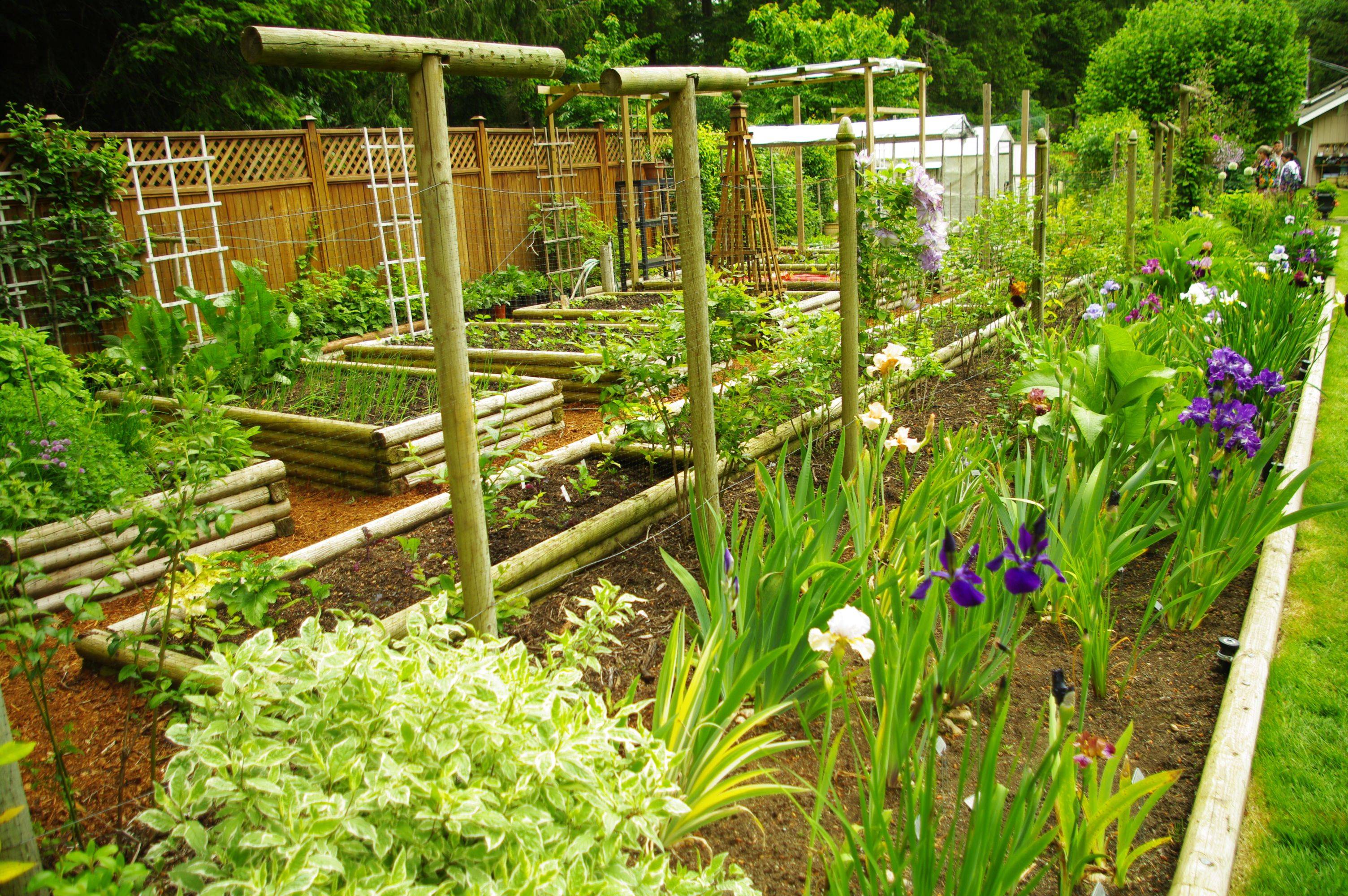 19 Fancy Vegetable Garden Ideas You Gonna Love SharonSable