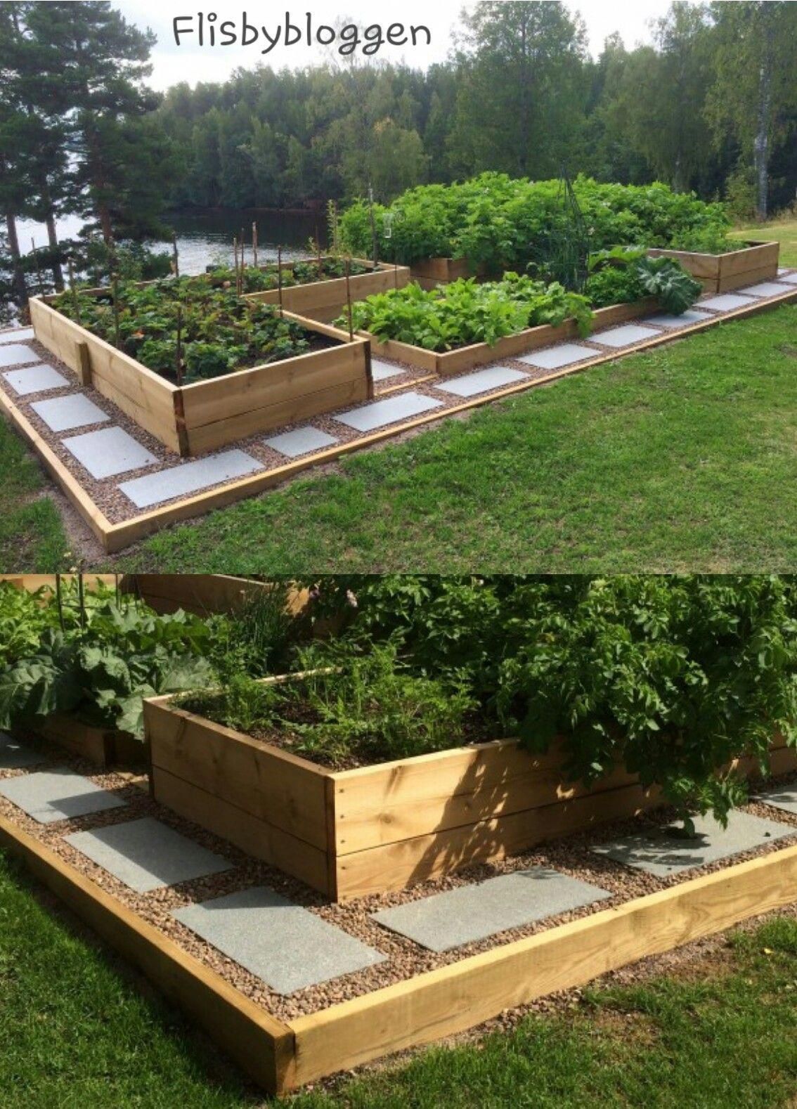 Best Edible Garden Ideas