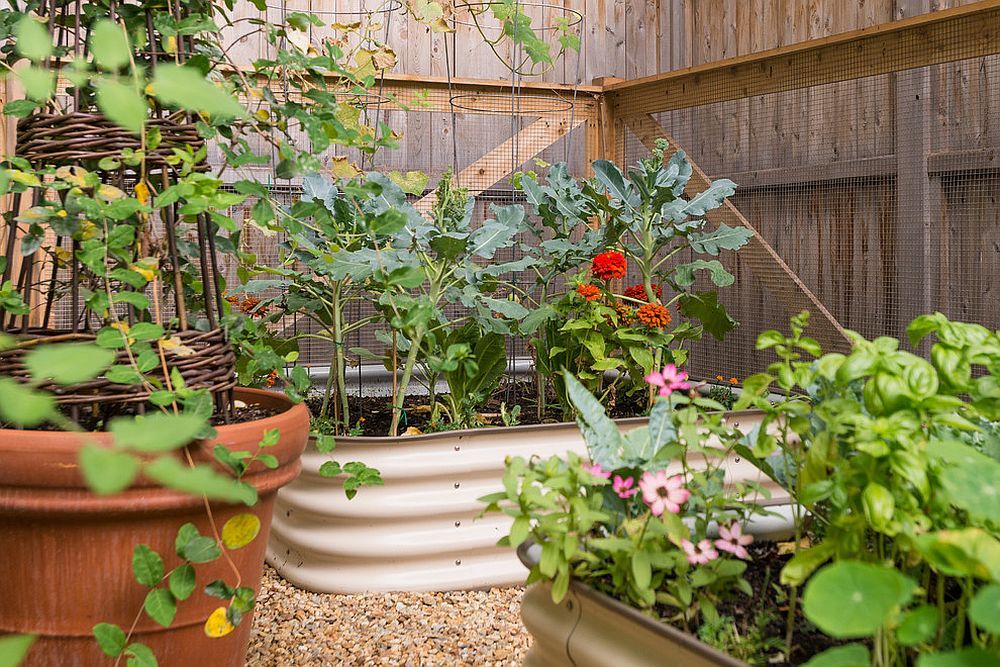 Organic Container Gardening Ideas