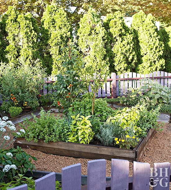 Organic Gardening Tips And Tricks Kellogg Garden Organics