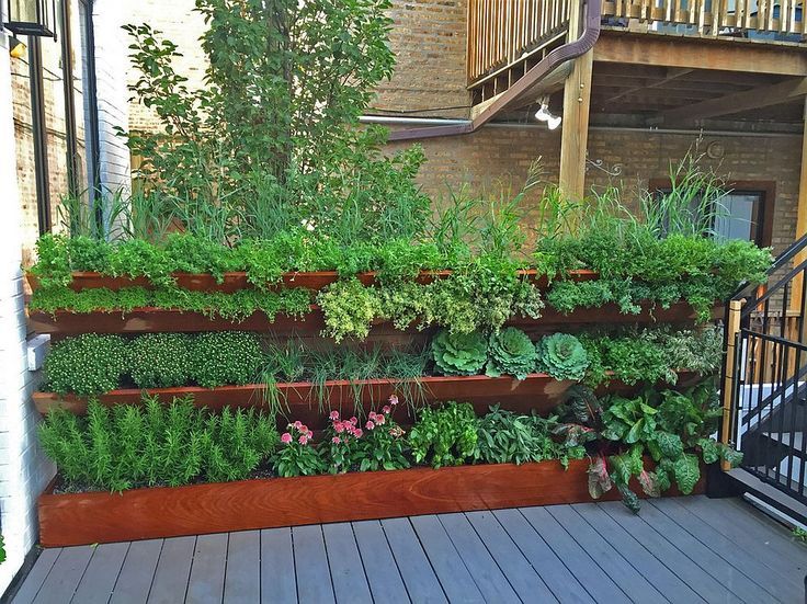 Top Organic Garden Ideas