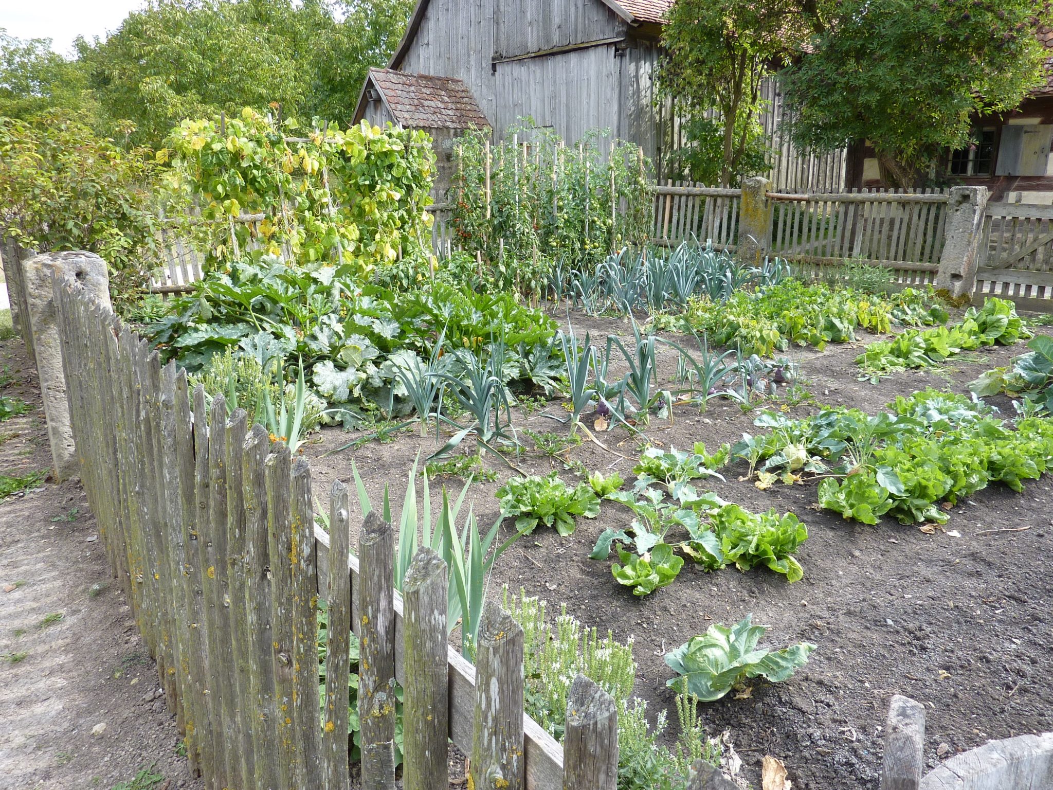 Vegetable Garden Orientation Direction