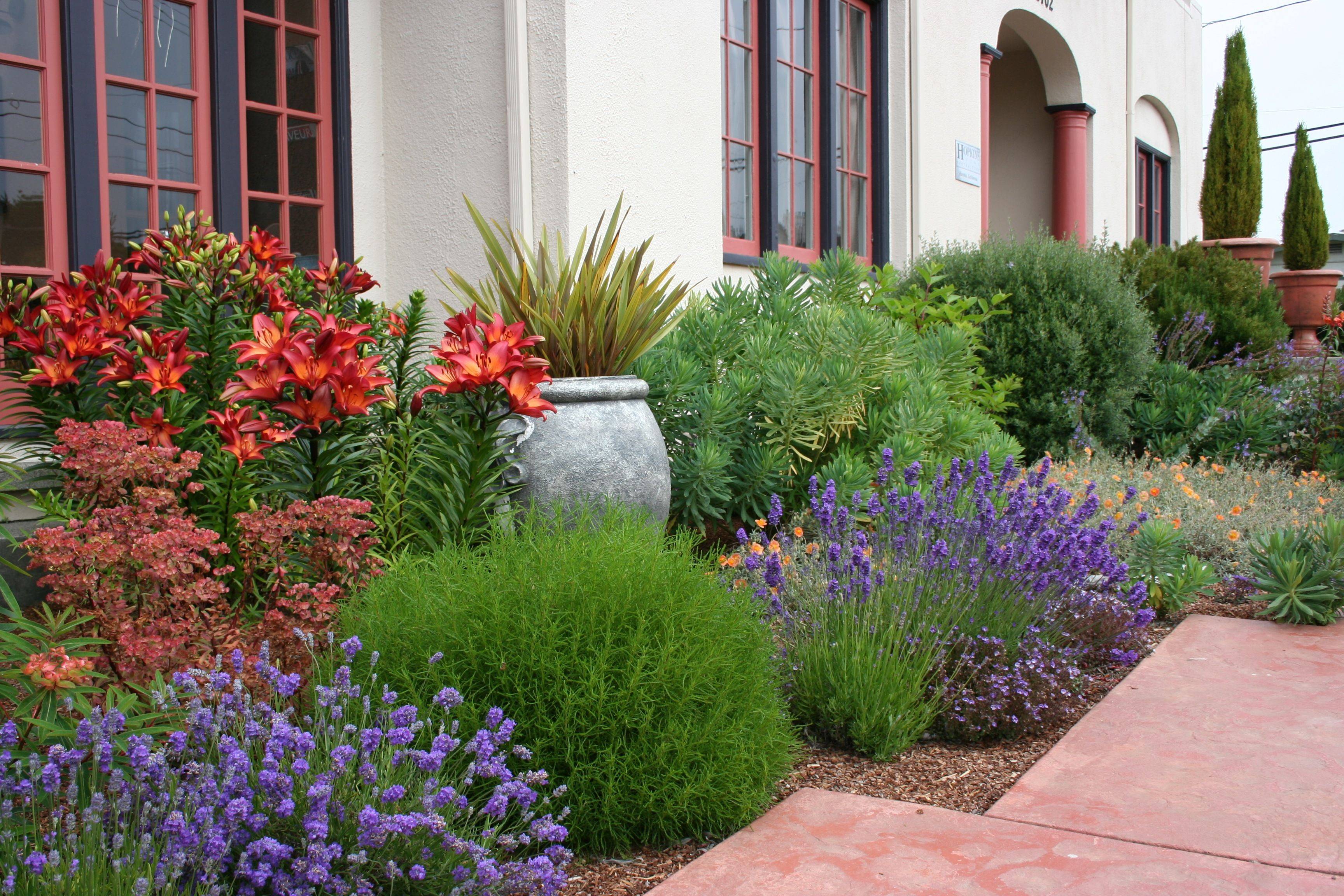 Small Mediterranean Garden Ideas