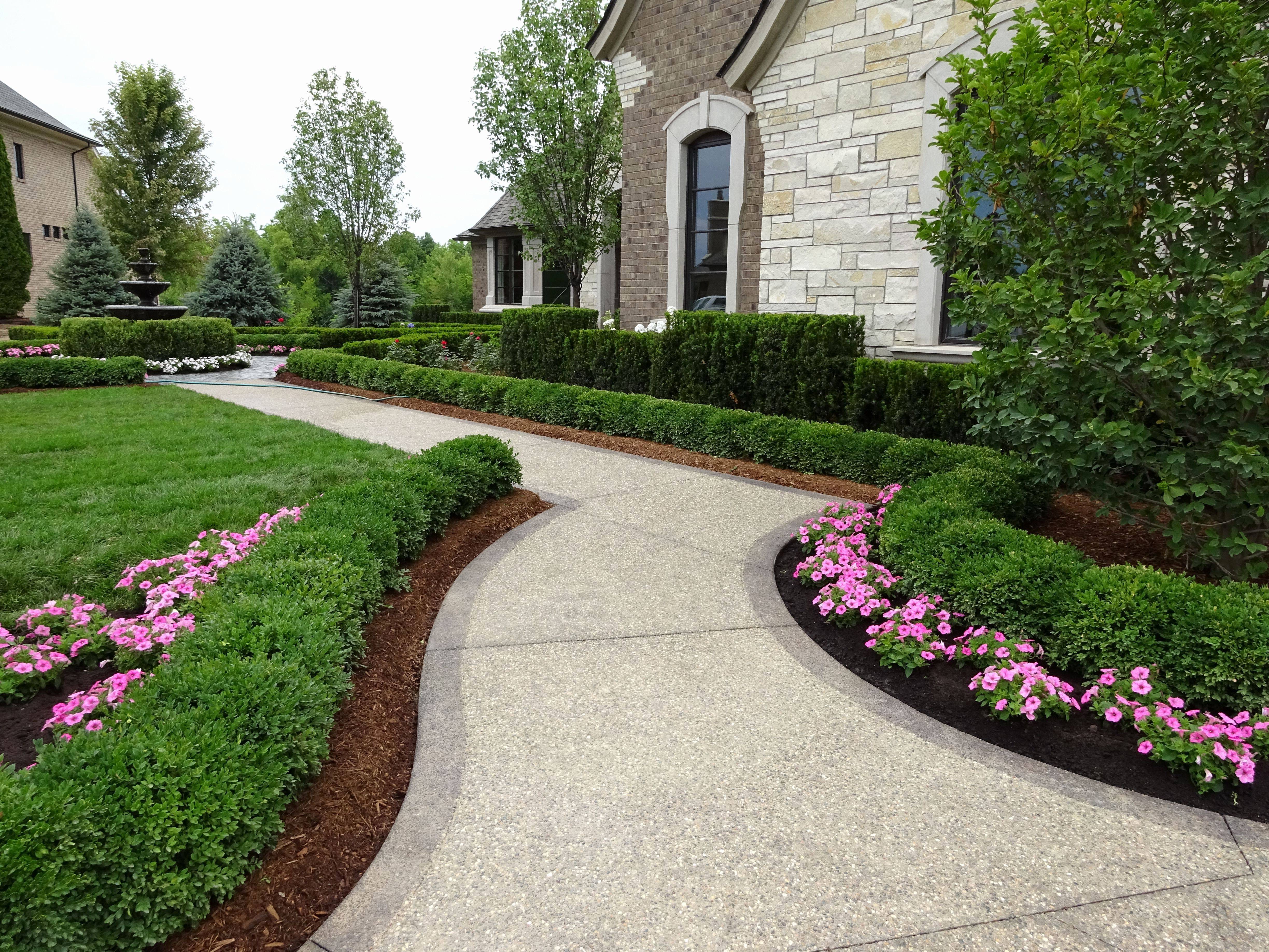 Small Mediterranean Garden Ideas