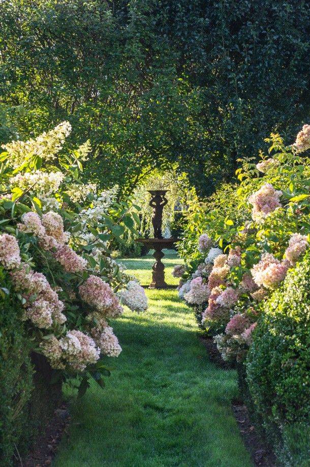Front Yard Landscaping