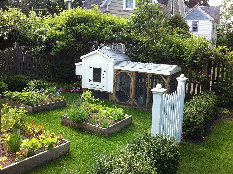 Vegetable Garden Ideas