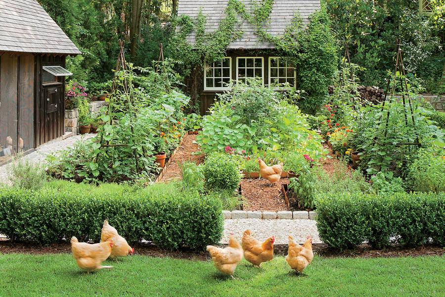 Surrounding Garden Vegetable Gardening