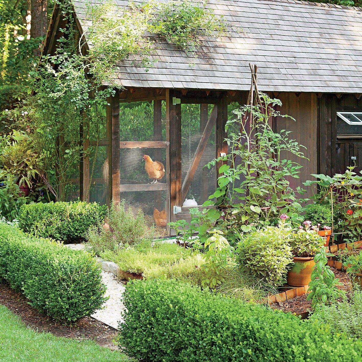 24 Vegetable Garden and Chickens Ideas You Cannot Miss SharonSable