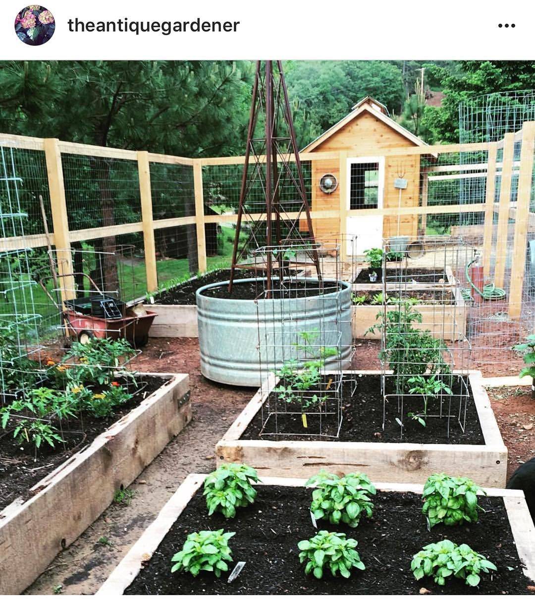 Your Garden Modern Farmer