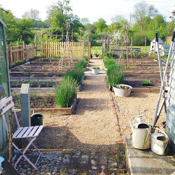 24 Vegetable Garden and Chickens Ideas You Cannot Miss SharonSable