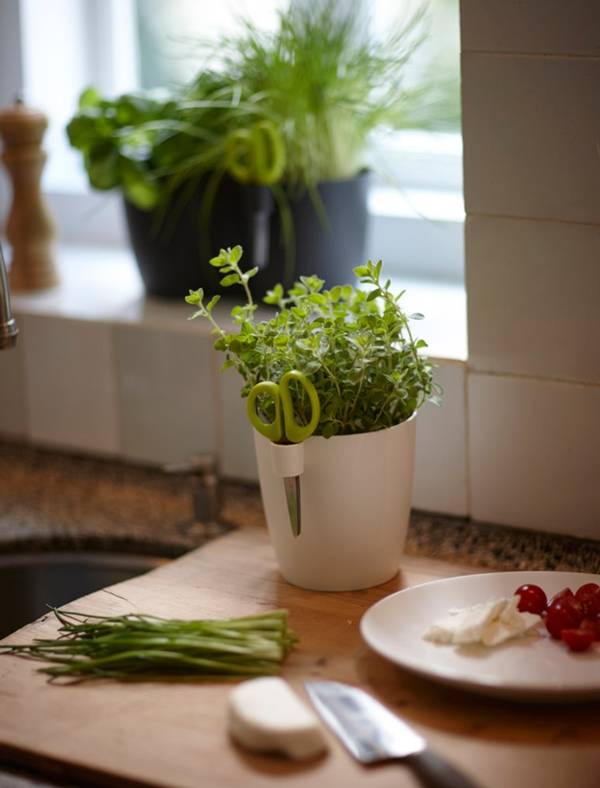 Kitchen Herb Garden Ideas Fit