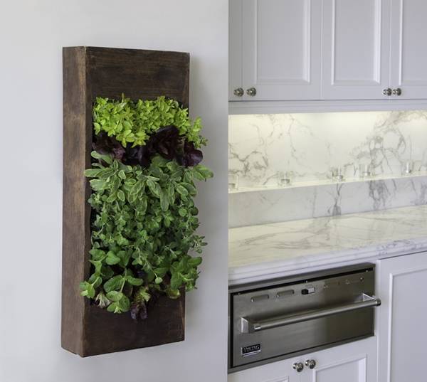 Diy Herb Garden Design