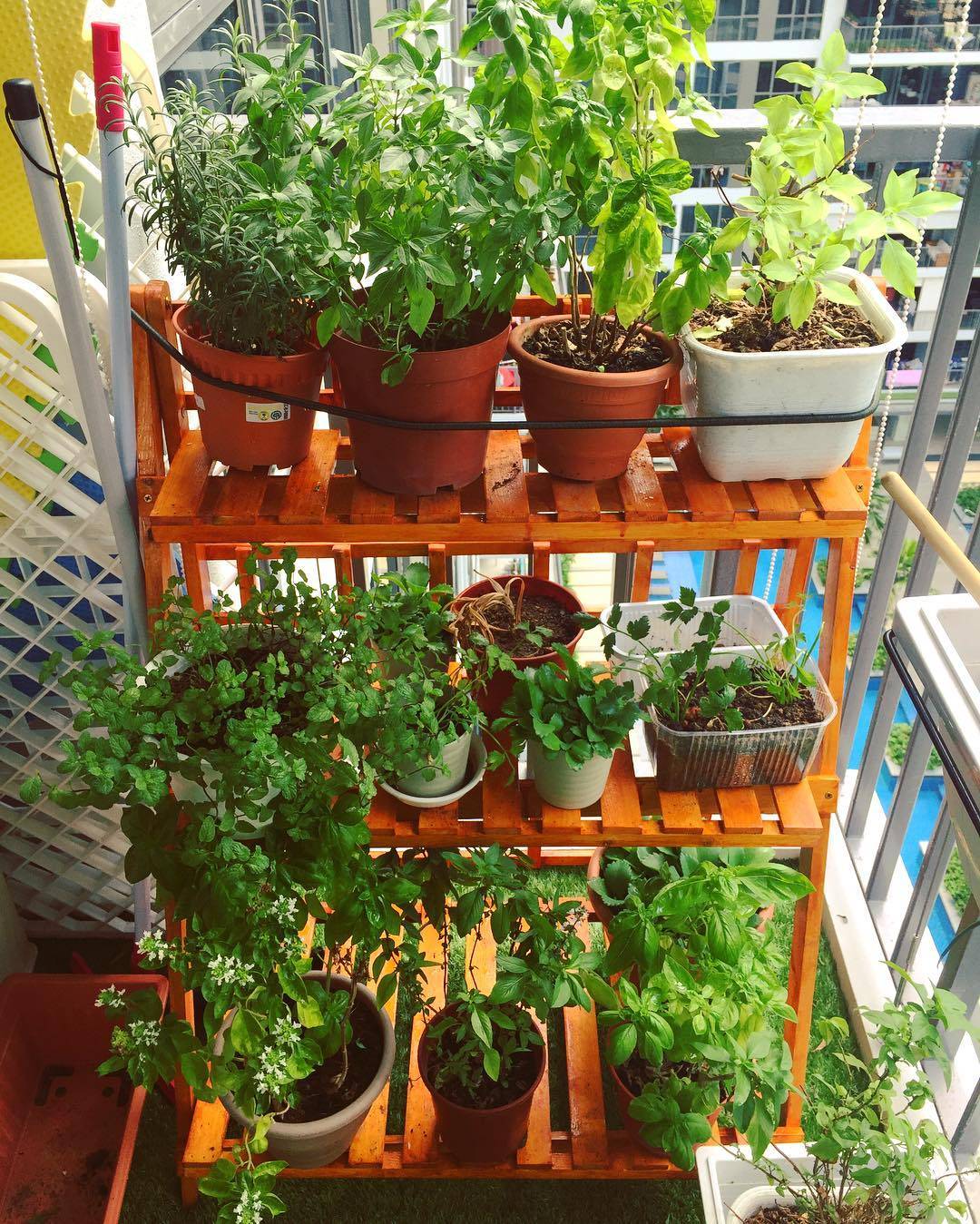 22 Kitchen Herb Garden Ideas You Cannot Miss SharonSable