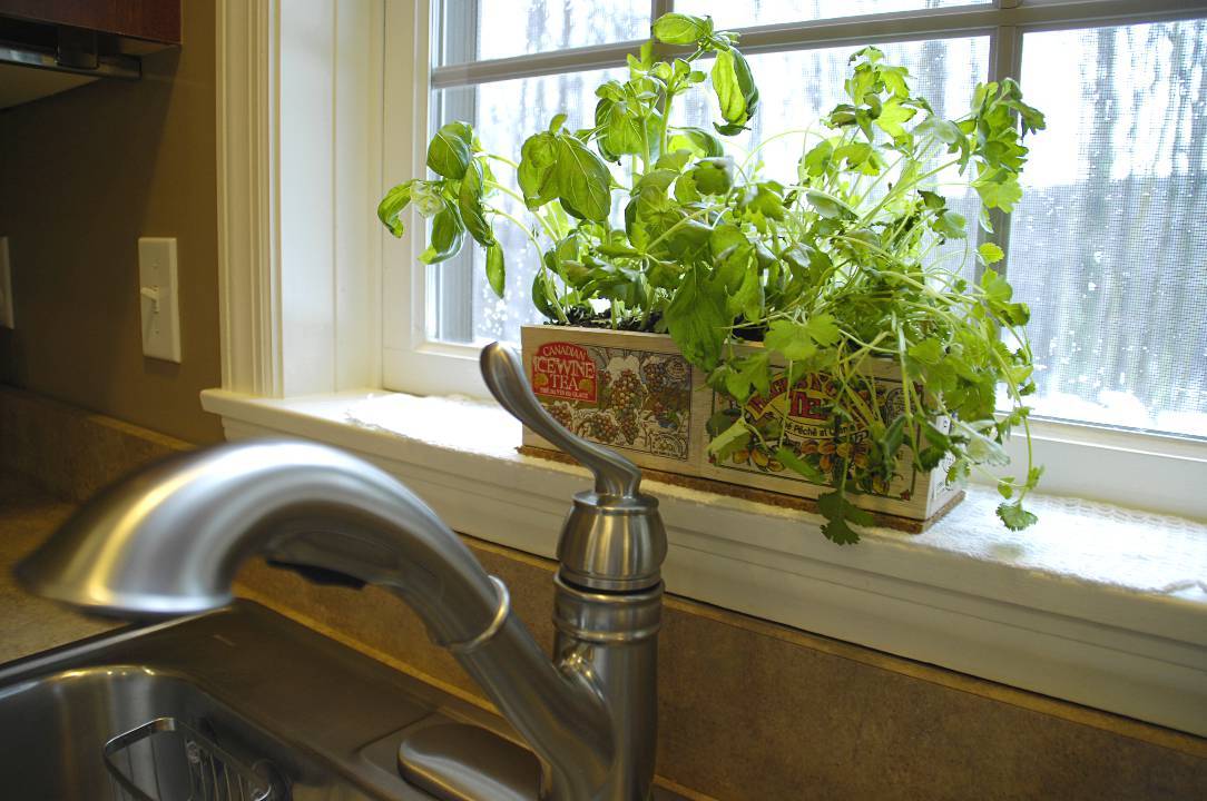 The Best Indoor Herb Garden Ideas