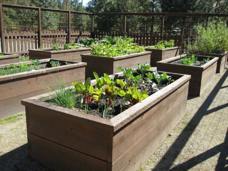 Elegant Round Garden Bed Ideas