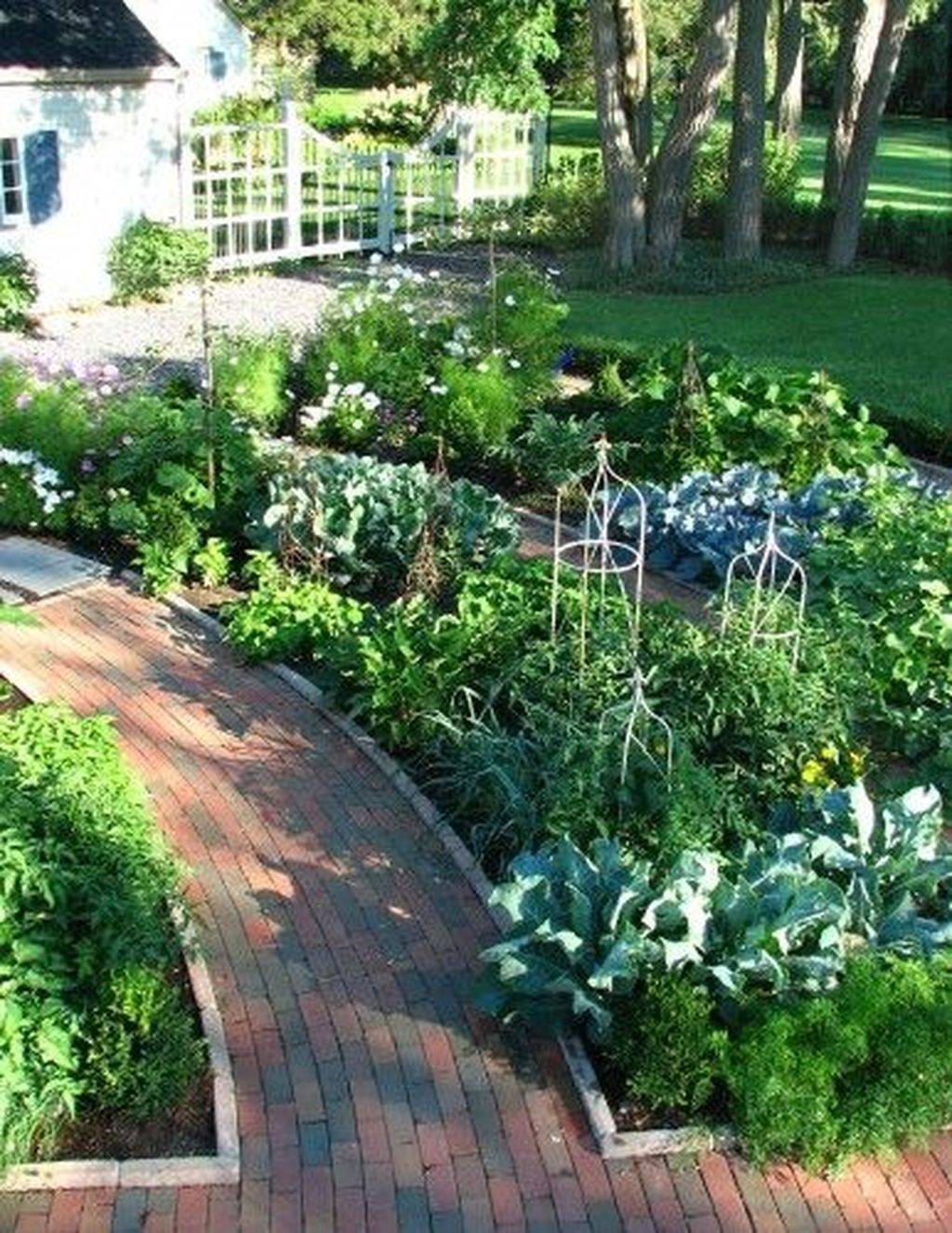 A Raised Vegetable Garden Bed