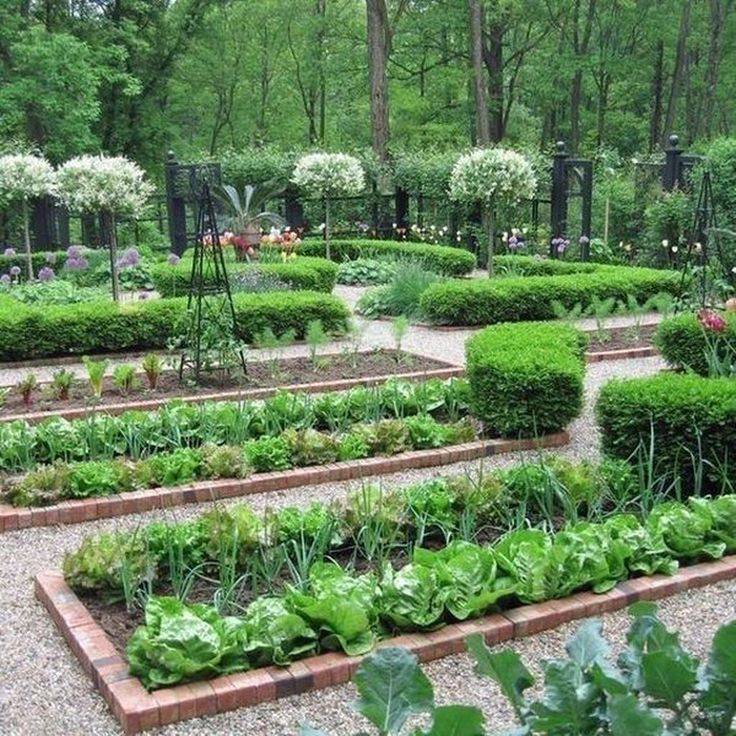 Fancy Garden Bed Borders Ideas