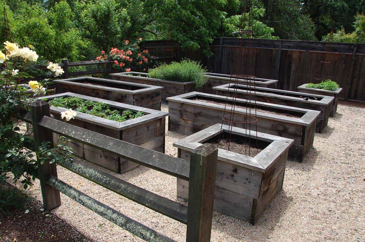 Luxury Garden Ideas Diy Vegetable Garden Planter Boxes