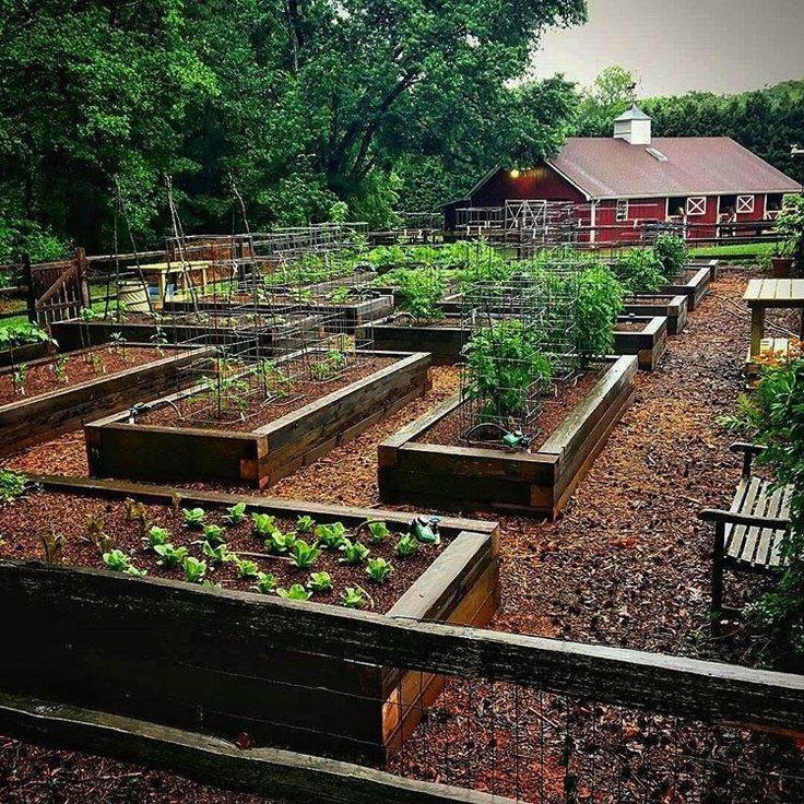20 Fancy Raised Bed Vegetable Garden Design Ideas Worth a Look