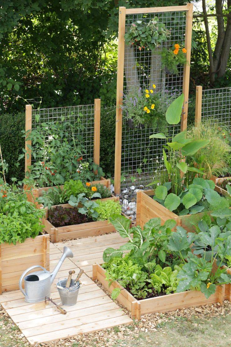 Vegetable Garden Trellis Ideas