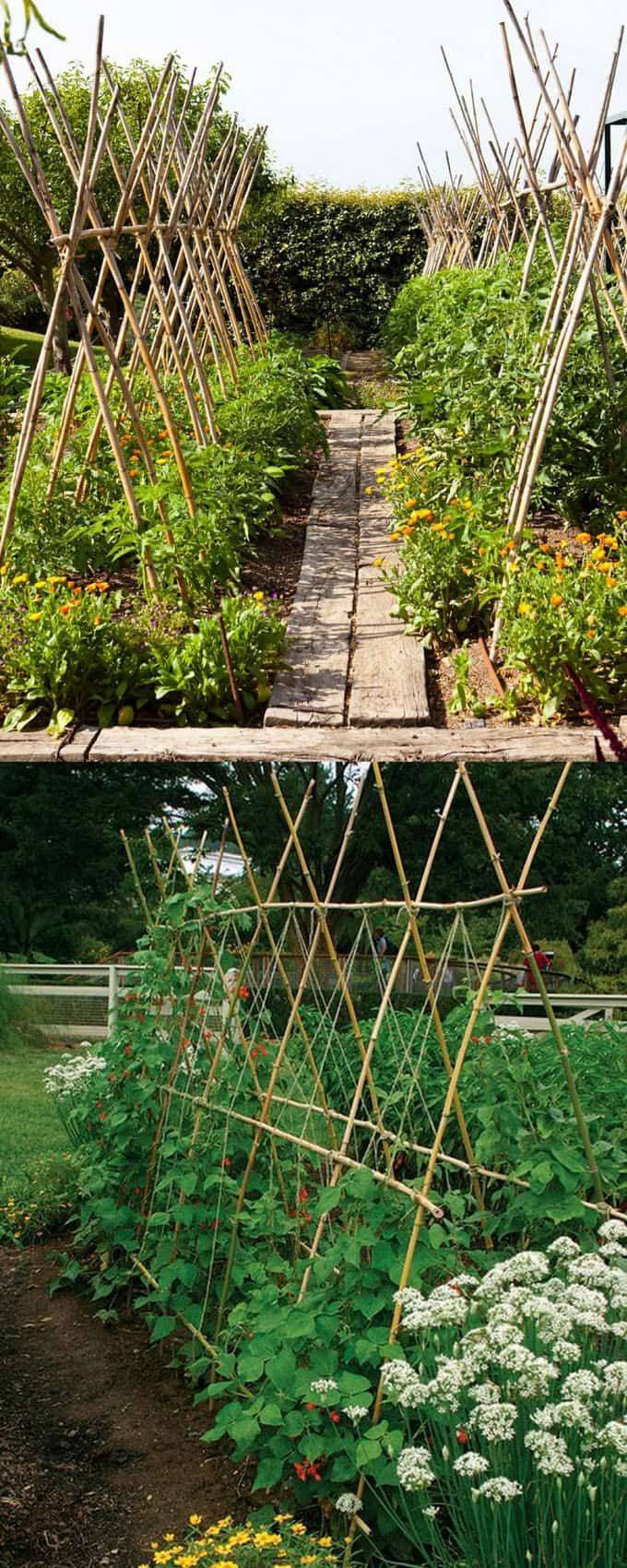 Vegetable Trellis Garden