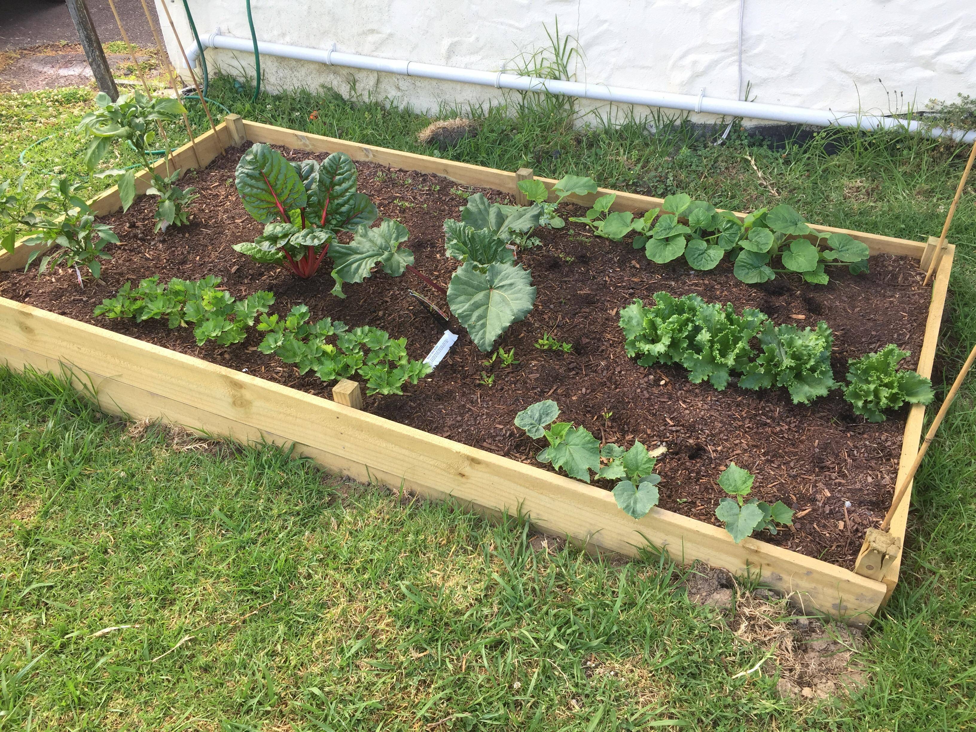 Simple Raised Vegetable Garden Bed Ideas