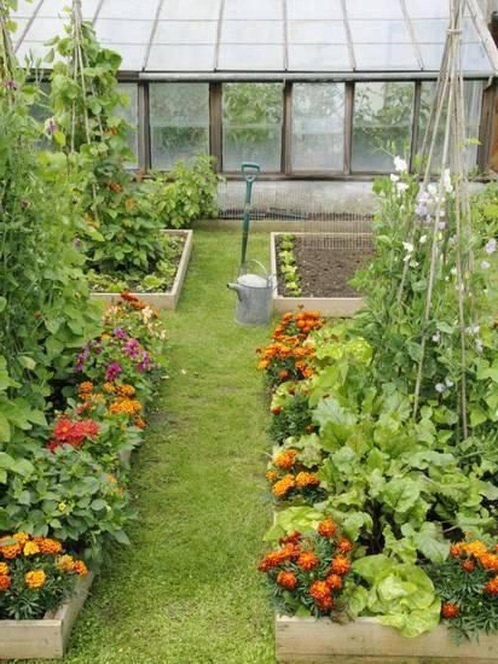 Home Vegetable Garden