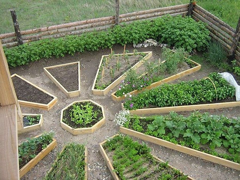 Garden Veggie Garden Layout